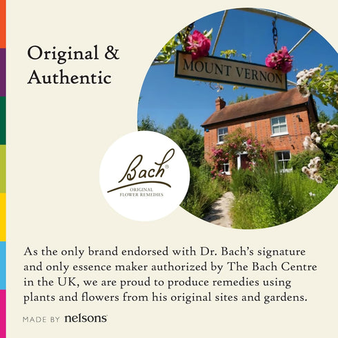 Bach Original Flower Remedies, Ready To Go Kit, For Travel Stress (Non-Alcohol Formula), Natural Homeopathic Flower Essence, Vegan, 3 x 10mL Dropp...