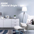 LED Light Bulb, 80 Watt Equivalent A19 LED Bulb, 12W 6500K Daylight White Non-Dimmable E26 Medium Base Light Bulbs for Home Bedroom Kitchen Living...
