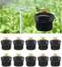 10 Pcs Garden Irrigation Misting Nozzles 1/2" Adjustable Garden Lawn Watering 360° Misting Sprinkler Heads Micro Irrigation Sprayer for Garden Irr...