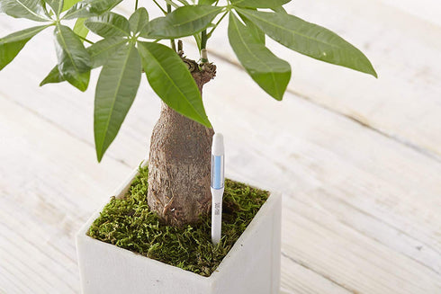 Aquameter (Small White Refillable - Bundle of 2) - House Plant Soil Moisture Meter, Humidity Sensor Probe, Water Level Indicator - Best for Indoor...