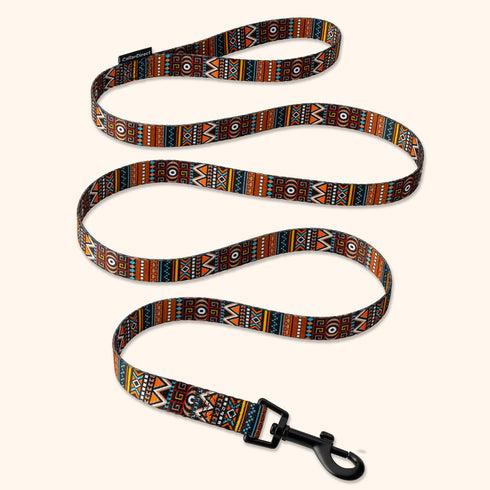 CollarDirect Aztec Dog Leash Nylon Tribal Pattern Cat Pet Leashes for Small Medium Large Dogs Puppy Lead 5 FT Long for Walking (Aztec Sunset, L, N...