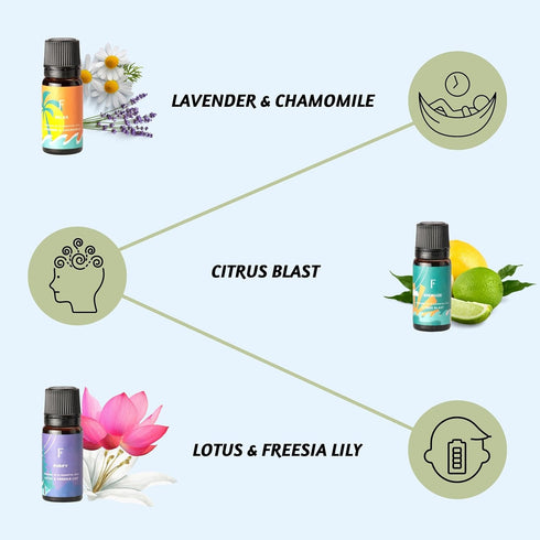 Folkulture Essential Oils for Diffuser Oil, Essential Oils Set of 6 Fragrance Oil, Diffuser Oils Scents for Home, Oil Diffuser Essential Oils, Fra...