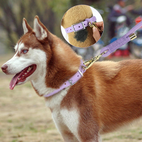 Wisedog Polyester Rope Dog Leash Heavy Duty with Soft Comfortable Padded Handle, Durable Stylish Braided Pet Leash 5 Ft/6 Ft for Small Medium Larg...