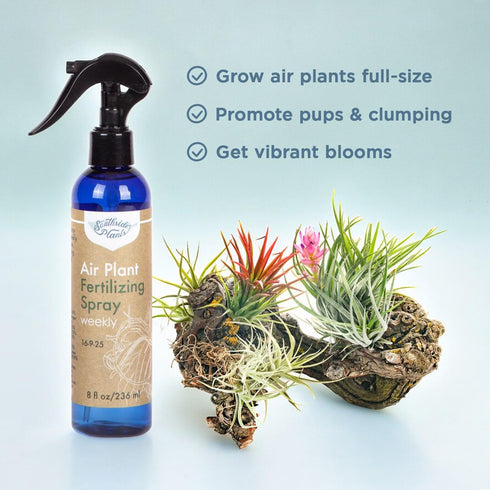 Air Plant Fertilizing Spray by Southside Plants - Fertilizer Mist for Houseplants, Weekly Plant Food - Gentle Mist Formula for Miracle Feed & Grow...