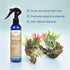 Air Plant Fertilizing Spray by Southside Plants - Fertilizer Mist for Houseplants, Weekly Plant Food - Gentle Mist Formula for Miracle Feed & Grow...