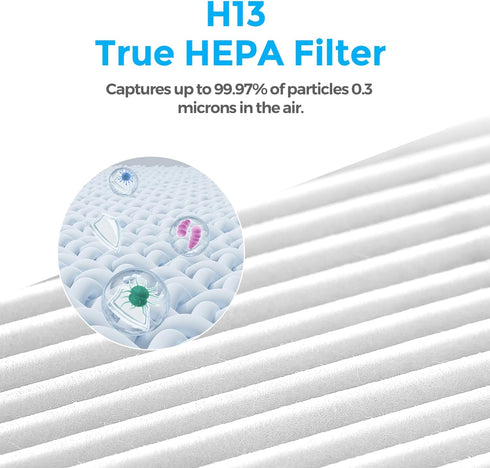 1-Year Pack Air Purifier Replacement Filter for P100, True HEPA Filter, 4 Pack...