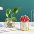 Glass Vase Nordic Small Flower Vase Clear Glass Bud Vases with Metal Geometric Iron Line Cup Vase Pot for Hydroponic Planter Flowers Rack Stand Mo...