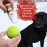 DogBone BloodTrail Scent for Tracking Dog Training | Dog Training Kit | Hunting Dog Accessories | Dog Scent Training Kit | Deer Hunting Accessorie...