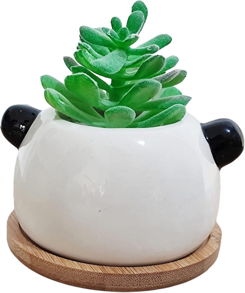 Succulent Pots,Cute Animal Panda Shaped Cartoon Ceramic Succulent Cactus Flower Planters with Bamboo Tray -Plant Not Included (4.13 Inch)...