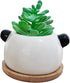 Succulent Pots,Cute Animal Panda Shaped Cartoon Ceramic Succulent Cactus Flower Planters with Bamboo Tray -Plant Not Included (4.13 Inch)...