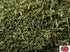 Spicy World Dill Weed 2.5 Oz Bag (70g) | Perfect Seasoning and Spice for Salads and Soups (2.5 Ounce Bag)...