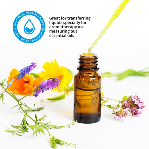 Teenitor 2ML Plastic Transfer Pipettes Eye Dropper 100PCS Disposable Pipettes Dropper, Plastic Pipettes for Essential Oils, Transfer Liquids for E...