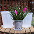 Plant Pots 7 inch Set of 3, Clear Plastic Nursery Pots with Drainage Holes and Saucers, Seedling Pots Seed Starter Pots Planter Pots for Indoor Ou...