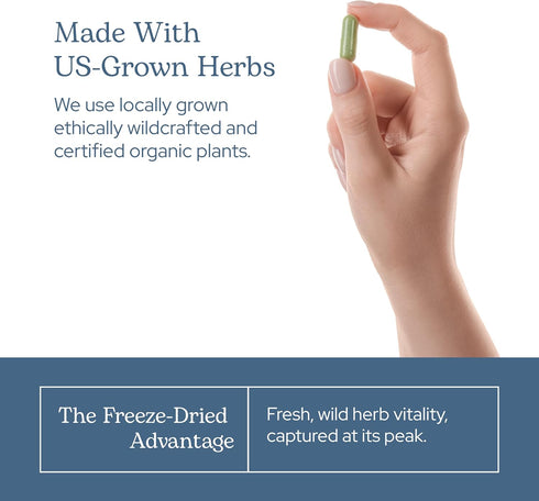 Eclectic Herb Lymphatic & Blood Cleanse | Freeze Dried Fresh, Whole Herbs, Naturally Concentrated | 45 Count...