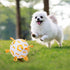 Dog Toys Soccer Ball, Puppy White Ball Interactive Toys for Tug of War, Puppy Birthday Toy, Dog Water Toys, Dog Balls for Small & Medium&Large Dog...
