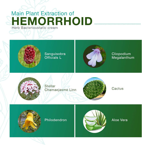 Hemorrhoid Cream, Hemorrhoid Treatment, Hemorrhoid & Fissure Ointment, Fast Relief Hemorrhoid Cream Healing Formula, Hemorrhoid Symptom Ointment (...
