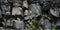 AWERT 24x16 inches Stone Aquarium Background Grey Rock Fish Tank Background Rocky Terrarium Background...