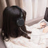 HiFi Headphone, Wired Headphone Foldable and Compact for Enjoying Movies or Music...