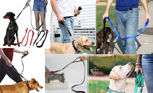 Reflective Nylon Dog Leash - Heavy Duty Padded Two Handle Reflective Leash for Night Safety Training for Small Medium Large Breed Pet Dogs (Light ...