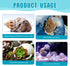 Hermit Crab Shells Accessories Conch: Natural Large Hermit Crab Supplies Sea Shell for Beach Decor Growth Turbo Seashells Hermit Crab Climbing Toy...