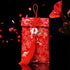 Chinese Red Envelopes, 3pcs Silk Red Envelopes Chinese New Year Hong Bao Packet Lucky Money Embroidery Envelope for New Year,Spring Festival,Birth...