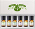Good Essential Oil Set – 6-Pack Floral Aromatherapy – Gardenia, Honeysuckle, Jasmine, Lilac, Magnolia, Spa – for Candles, Soaps, Perfume, Diffuser...