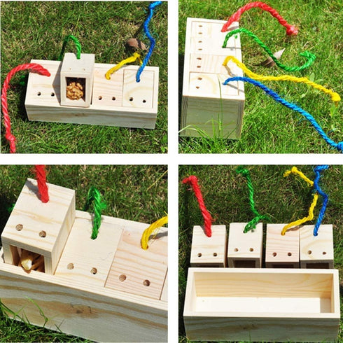 Bird Foraging Feeder Toy Training Intelligence Box Wooden for Parrot Budgie Parakeet Cockatiel Conure African Grey Cockatoo Amazon Finch Canary...