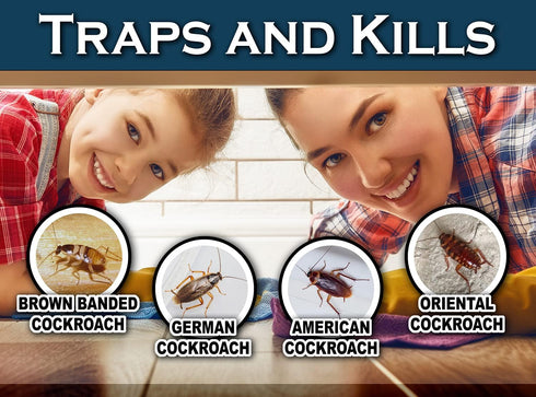 Roach + Spider Traps (12 Box Traps) | Non-Toxic Extra Sticky Box Traps | Trap and Kill German Cockroach, American, and Oriental Roaches Plus Crawl...