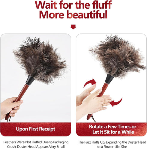 Ostrich Feather Duster (Set of 2), 14-Inch, Indulge in Effortless Elegance with Premium Reusable Design for Thorough, Eco-Friendly Cleaning at Hom...