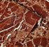 Amhao Marble Self Adhesive Paper 15.7inch x79inch Granite Look Effect Gloss Vinyl Film Wallpaper Kitchen Countertop...