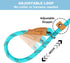 5 FT Slip Lead Dog Leash, Heavy Duty Rope Leash for Small Medium Large Dogs, No Pull Training Lead with Reflective Thread, Strong Comfortable Loop...