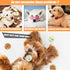 Dog Balls for Aggressive Chewers,Indestructible Floating Dog Ball,Bouncy Fetch Balls for Dogs Small Medium Breed,Lightweight Solid Tennis Balls fo...