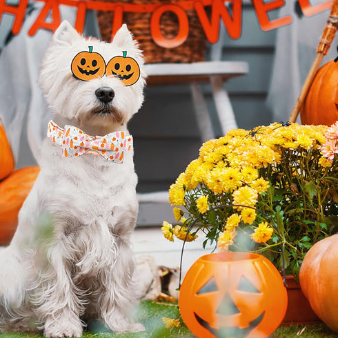 Elegant little tail Halloween Dog Collar, Fall Dog Collar Orange Pumpkin Holiday Pet Dog Collar Dog Bow Collar Pet Durable Adjustable Girl Boy Dog...