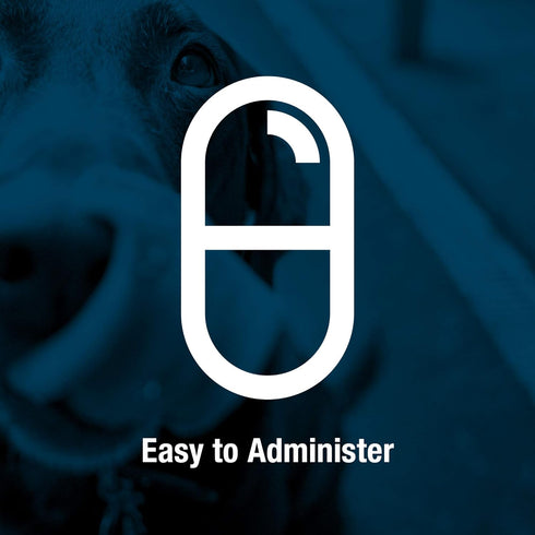 Omega 3 Fish Oil Liquid - Nutritional Fatty Acids EPA & DHA, Omega 3 for Dogs & Cats, Builds Immune & Joint Health, Skin and Coat Supplement for D...