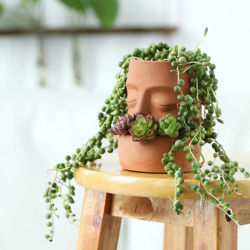Terra Cotta Face Succulent Pots Planter Clay Pot Pretty Tribe Face Planter Holder Indoor Flower Pot Crafts Breathing Terracotta Pot DIY Decorative...