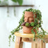 Terra Cotta Face Succulent Pots Planter Clay Pot Pretty Tribe Face Planter Holder Indoor Flower Pot Crafts Breathing Terracotta Pot DIY Decorative...