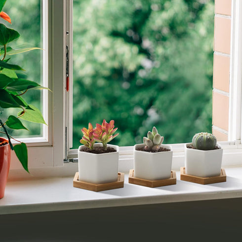 T4U Small White Succulent Planter Pots with Bamboo Tray Hexagon Set of 2, Geometric Ceramic Cactus Plant Holder, Succulent Plant Gifts for Gardene...