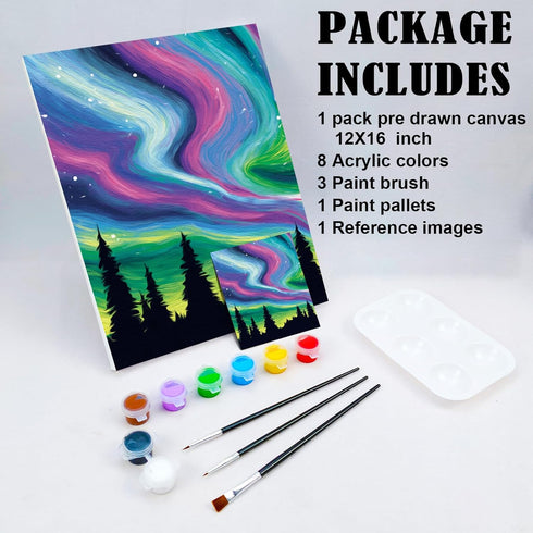 Nuberlic Pre Drawn Canvas Paint Kit, Adult Sip and Paint Party Favor DIY Date Night Activity Supplies, Birthday Gift Star Night (12x16)...