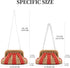 Colorblock Straw Clutch Purses Straw Crossbody Bags for Women Woven Purse Straw Beach Handbags Cloud Dumpling Pouch...
