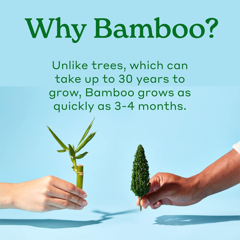 Caboo Tree Free Toilet Paper, Septic Safe Bath Tissue, Quick Dissolving 2 Ply Sheets - 300 Sheets Per Roll, 9 Double Rolls...