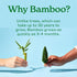 Caboo Tree Free Toilet Paper, Septic Safe Bath Tissue, Quick Dissolving 2 Ply Sheets - 300 Sheets Per Roll, 9 Double Rolls...