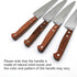 Utility Knife 5.5 Inch - MATTSTONE HILL Small Kitchen Knife, Compact Chef Knife, Petty Knife, German Steel, Wood Handle...