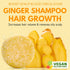 Shampoo Bar Pack 3 - Mix Ginger Rosemary & Rice Water - pH Balanced Hair Growth, Anti Hair Loss, Hair Regrowth Solid Soap Easy for Travel - Sulfat...