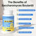 Saccharomyces Boulardii Probiotics 200 Billion CFUs, Clinically-Studied Probiotic for Women & Men Yeast for Intestinal, Gut, Immune & Digestive He...