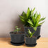 Plant Pots, Indoor Outdoor Plastic Plant Flower Pots with Multiple Drainage Holes and Tray for Garden Plant, 7 inch Planter Pots Suitable for All ...