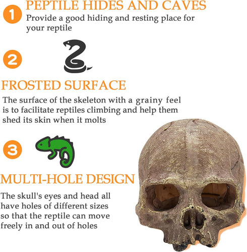 Halloween Human Skull Reptile Hide, Grey Reptile Hides and Caves for Ball Python Leopard Gecko Snake Bearded Dragon Lizard Fish Chameleon Spider, ...