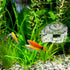 MiOYOOW Planaria Trap, Transparent Planaria Catcher Natural Aquarium Snail Trap for Aquarium Fish Tank Planaria Leech Small Snail...