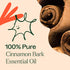 Plant Therapy Cinnamon Bark Essential Oil 10 mL (1/3 oz) 100% Pure, Undiluted, Cinnamon Oil for Diffuser, Spray, Candle Making, Spicy, Sweet Scent...