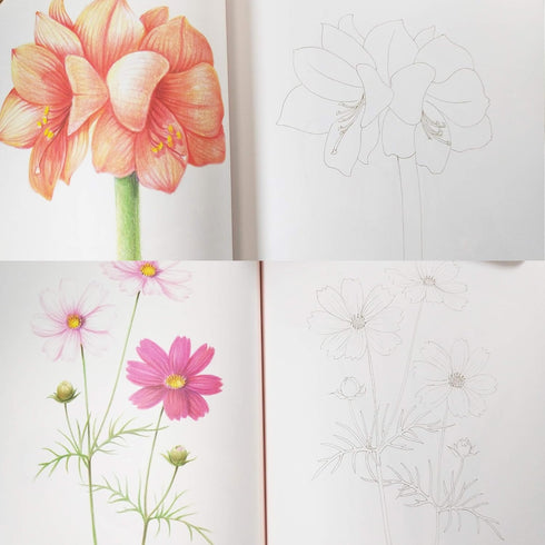ICONBOOKS Botanical Art Coloring Book - Flower- Easy to Follow Anyone Coloring Book for Adults Relaxation...