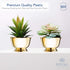Royal Imports 6" Decorative Plastic Planter Pedestal Bowl- Flower Pot Cover, Footed Succulent Dish for Wedding, Party, Garden, Home and Holiday De...